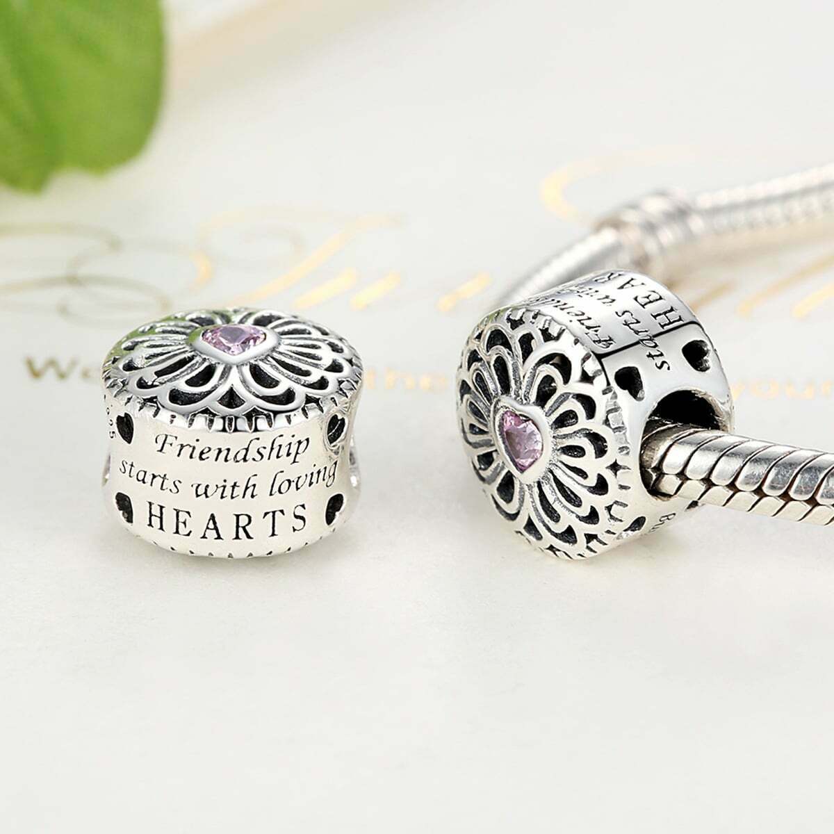 Love & Friendship Charm